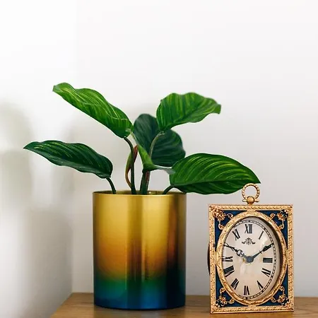 Beautiful Vista Mar 丰沙尔