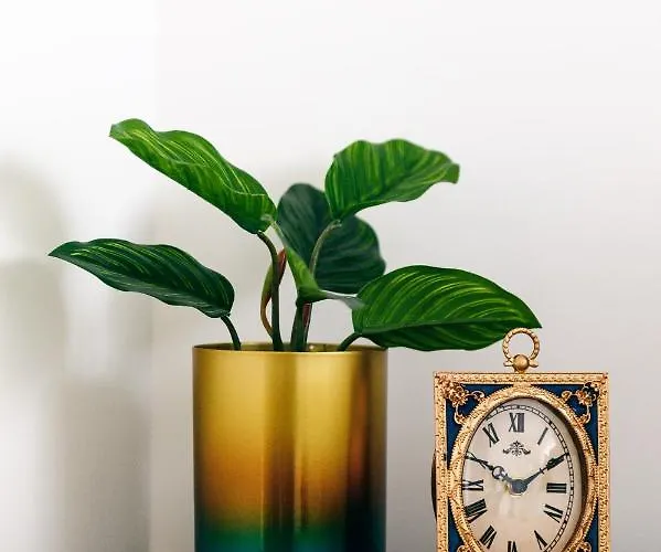 Beautiful Vista Mar Funchal (Madeira)